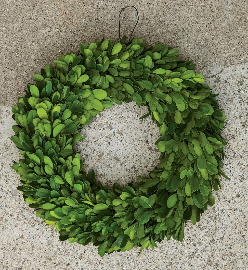 Boxwood Wreath 16"