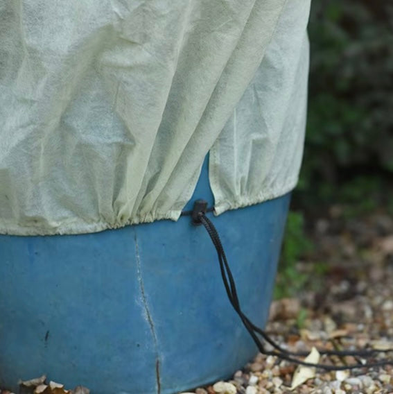 Planter Frost Protector